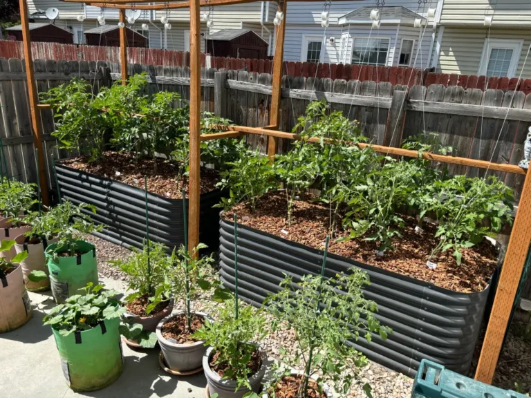 teamgrow.us the best for you home garden.