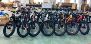 bodywel e bike